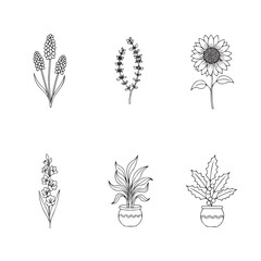 A collection of six hand-drawn line art illustrations featuring a sunflower, potted plants, and garden flowers.