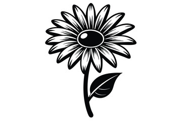 daisy black and white line art silhouette on white background