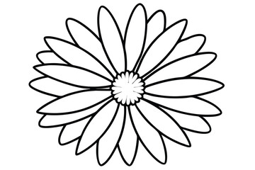 Fototapeta premium daisy black and white line art silhouette on white background