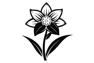 Obraz premium daffodil black and white silhouette on white background