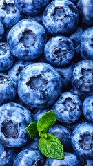 A close-up of fresh, ripe blueberries filling the frame, accented by a sprig of mint
