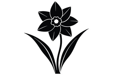 daffodil black and white silhouette on white background