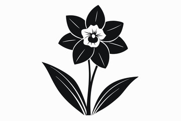 daffodil black and white silhouette on white background