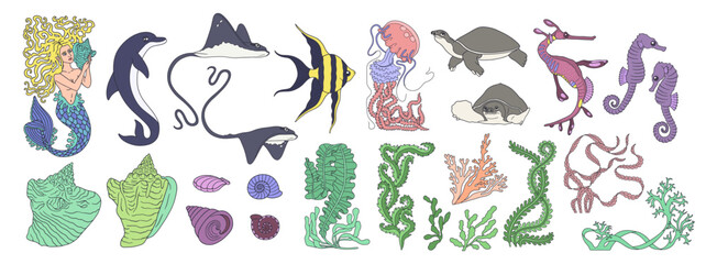 Colorful ocean life and mermaid hand drawn line art vector illustration bundle. Sea animals and seaweed clipart big set