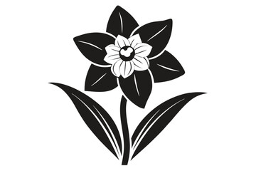 daffodil black and white silhouette on white background
