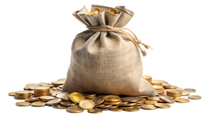 money bag filled with cash and coins