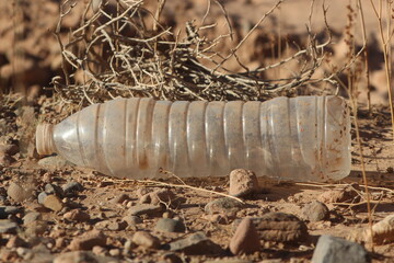 A close-up of a plastic bottle lying on ground, environmental issue