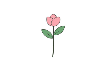 Single pink rose blossom isolated on a