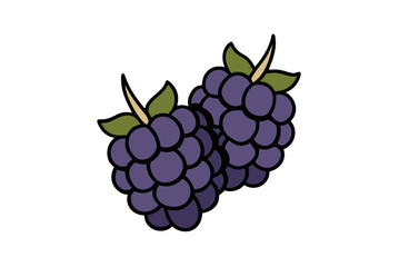 Vector illustration of a bunch of fresh, ripe grapes (fruit) on a vine with a leaf, suitable for food and wine themes, isolated against a plain background