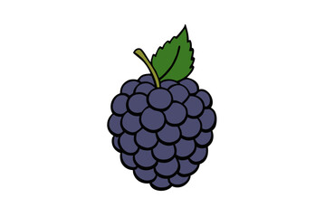 Freshly isolated ripe blackberry with a green leaf, a juicy fruit vector illustration