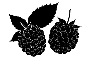Vector illustration of fresh summer berries including blackberry, strawberry, and raspberry with **green