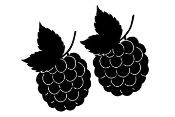 Ripe blackberry and raspberry vector illustration with fresh green leaf and