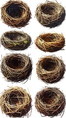 A collage of eight birds' nests made of twigs, grasses, and natural materials
