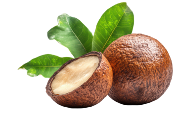 Betel nut and fresh green leaves isolated on a transparent background, showcasing the natural beauty and distinctive features of this traditional nut