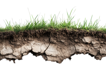Dried soil formation with green grass growing on top in a natural setting under bright sunlight highlighting the contrast of textures and colors