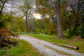 country road in autumn