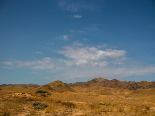 Simple beauty: golden foothills of Kazakh steppe stretching to distant mountain silhouettes