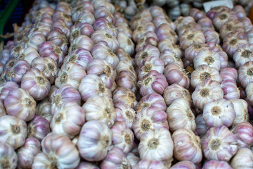 A Bountiful Pile of Fresh Garlic Bulbs Ready for Market
