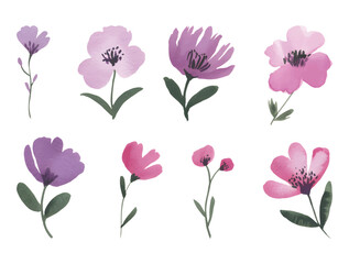 Hand painted floral watercolor artwork for textile prints. Soft watercolor blossoms in pink and violet.