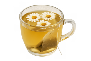 Chamomile tea mug with tea bag and fresh flowers floating, ready for relaxing, herbal drink on transparent background