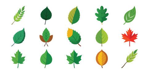 Collection of hand painted watercolor illustrations of various autumn and summer leaves in different shapes and colors on a white background