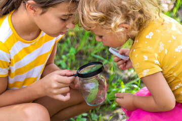 A child studies a beetle in a jar with a magnifying glass. Selective focus.