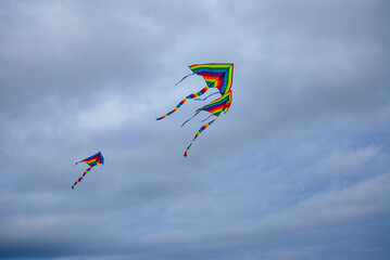 Rainbow kites soaring in a cloudy sky.
Rainbow-colored kites are flying against a backdrop of a cloudy sky. 