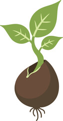 Illustration of simple sprouting seed isolated