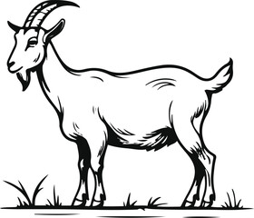 Goat grazing pose line art, thin black stroke, white background, simple natural farm posture, minimalist livestock illustration 3
