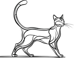 Stretching cat silhouette line art, dynamic curve line, white background, simple anatomy outline, continuous-line style 2