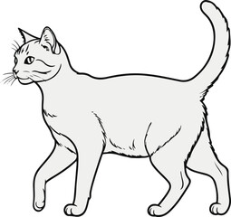 Walking cat side pose, thin black outline, white background, clean proportion, minimal line drawing suitable for pet businesses