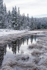 Tjuvåstjernet Lake with the outflow of Olterudelva River, part of the Totenåsen Hills, Norway, in October 2025.