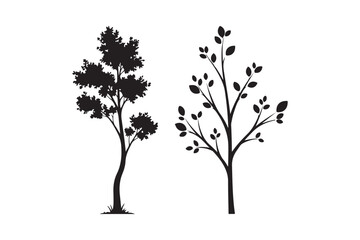 Obraz premium Silhouettes of two distinct trees against a white background