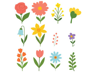 Collection of spring colorful flower elements vector