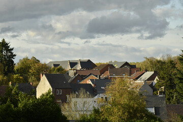 Maisons dissimulées dans la végétation en automne à Écaussinnes-Lalaing (Soignies)