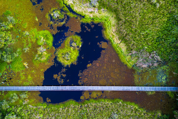 Aerial View of Wooden Pedestrian Bridge Crossing Large Swamp