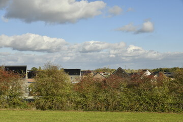 Derrière les buissons le lotissement résidentiel Bel Air à Écaussinnes d'Enghien (Soignies)