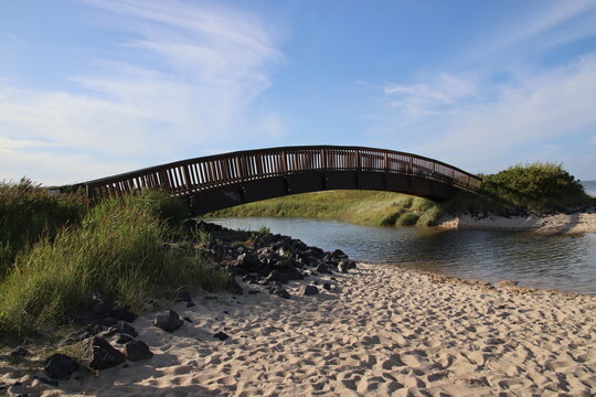 Holzweg und Holzbr&uuml;cke bei Munkmarsch, Nationalpark Schleswig-Holsteinisches Wattenmeer, Sylt, Nordfriesische Insel, Nordfriesland, Schleswig-Holstein, Deutschland, 