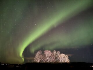 A breathtaking collection of night landscapes featuring Northern Lights (Aurora Borealis) over mountains and forests. High-resolution images capturing the magic of the Arctic sky.