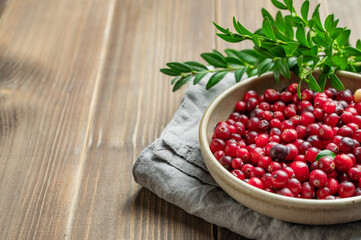 Fresh cranberries in a dark bowl on a wooden background with green branch and napkin close up.