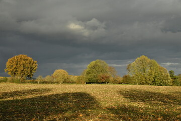 Contraste entre les couleurs de l'automne sous le soleil du soir et les nuages gris fonc&eacute;s d'un orage &agrave; &Eacute;caussinnes-d'Enghien (Soignies)