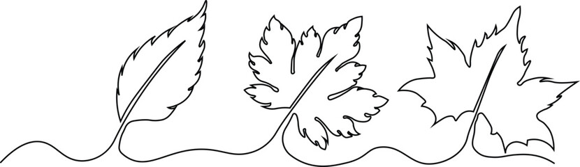 Stylish continuous line botanical artwork abstract plant and leaves illustration minimalist nature vector for modern interiors and art prints