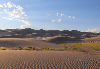Wind rippled sand at the Great Sand Dunes National Park in southern Colorado
