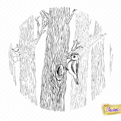 Vector line art illustration of a woodpecker and squirrel on tree trunks in the forest. Perfect for coloring books, nature designs, educational and wildlife projects