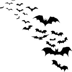 bats  without background, isolated