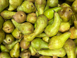 Pile of fresh green pears with natural spots and varied shapes, creating a vibrant fruit background ideal for food, agriculture, or healthy eating concepts.