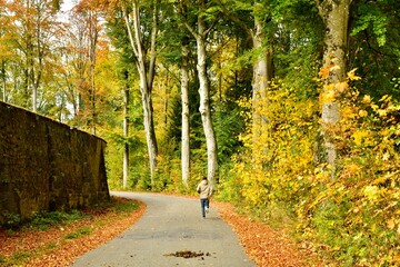 Jogging sous un décor automnal le long du mur d'enceinte de l'abbaye de Maredret à Anhée (Dinant)