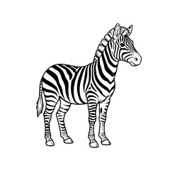 Striking zebra illustration with bold black stripes, perfect for educational materials, wildlife projects, or unique design elements, originally vector art