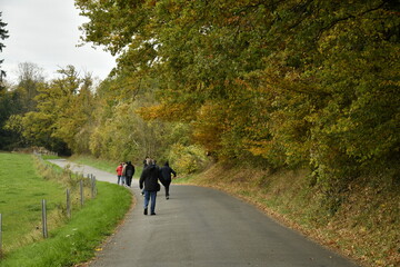 Promenade sous les feuillages dorées à Essoye (Anhée-Dinant)