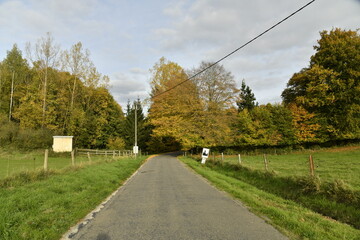Obraz premium Route en pleine campagne s'enfonçant dans un bois en automne à Sosoye (Anhée-Dinant)